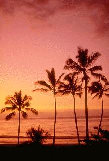 View from Queen's beach.