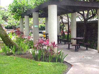 Serene barbeque area