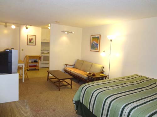 Maile living area with kitchen behind