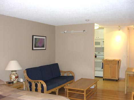 Bird of paradise sitting area