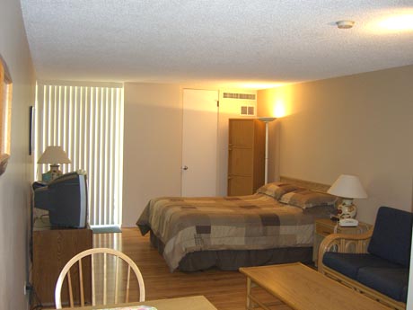 Bird of Paradise sleeping area