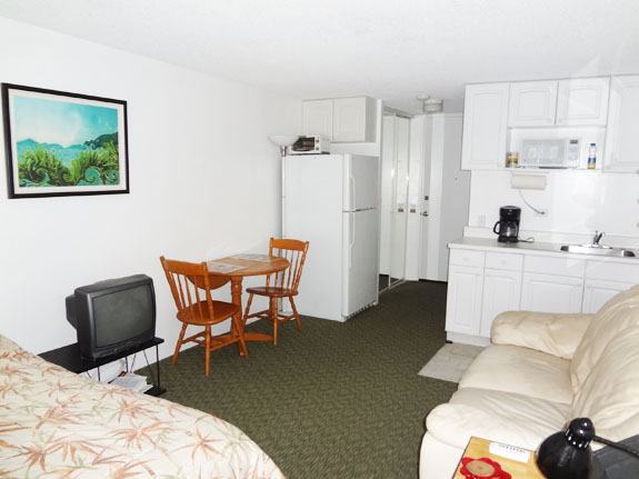 Heliconia eating area and closet behind.