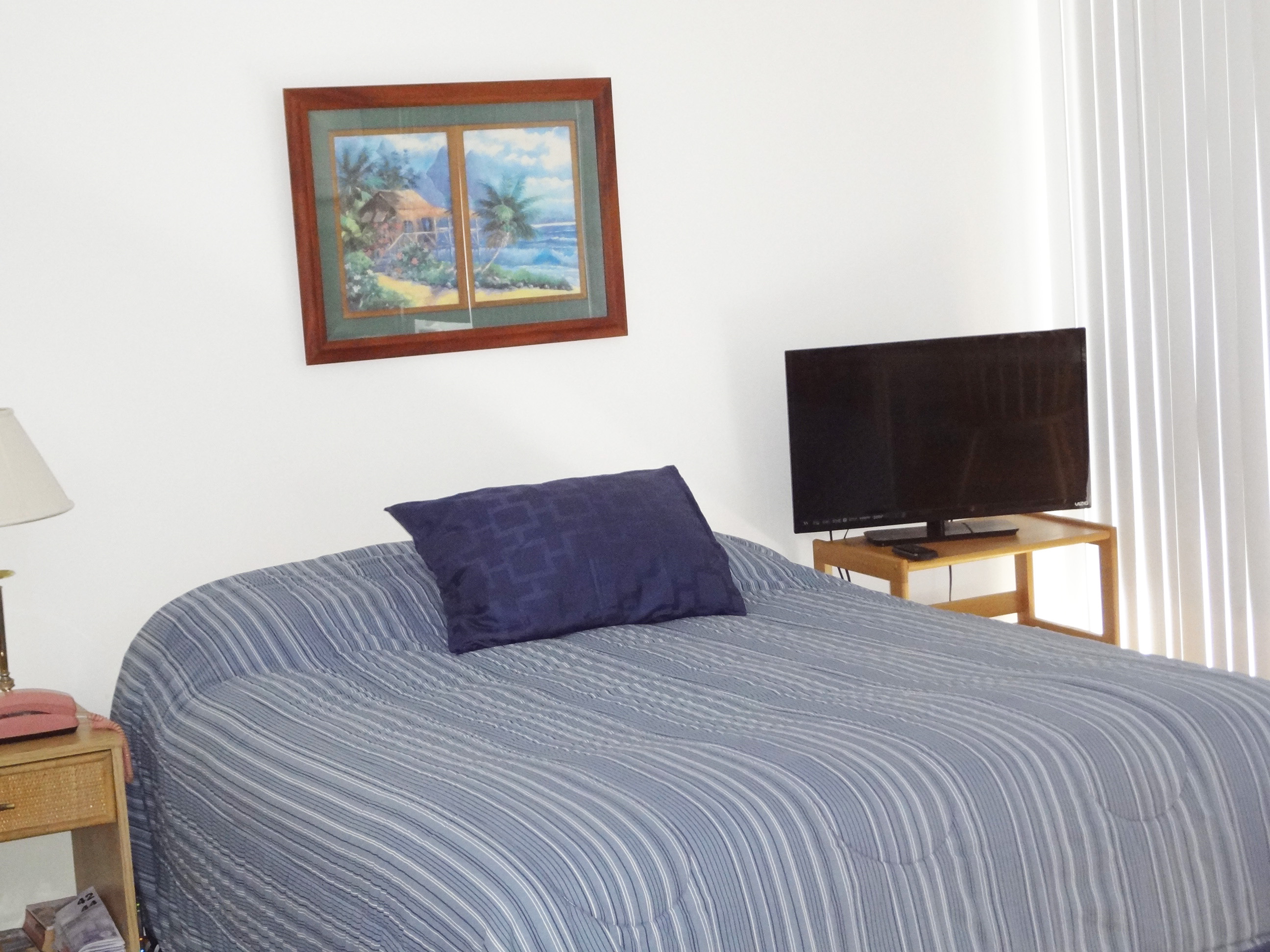 anthurium sleeping area